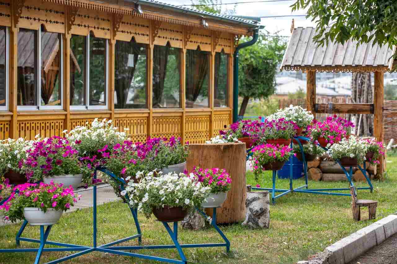 Внедрение iiko в работу кафе «Роща», Красноярск Внедрение iiko в работу кафе «Роща», Красноярск